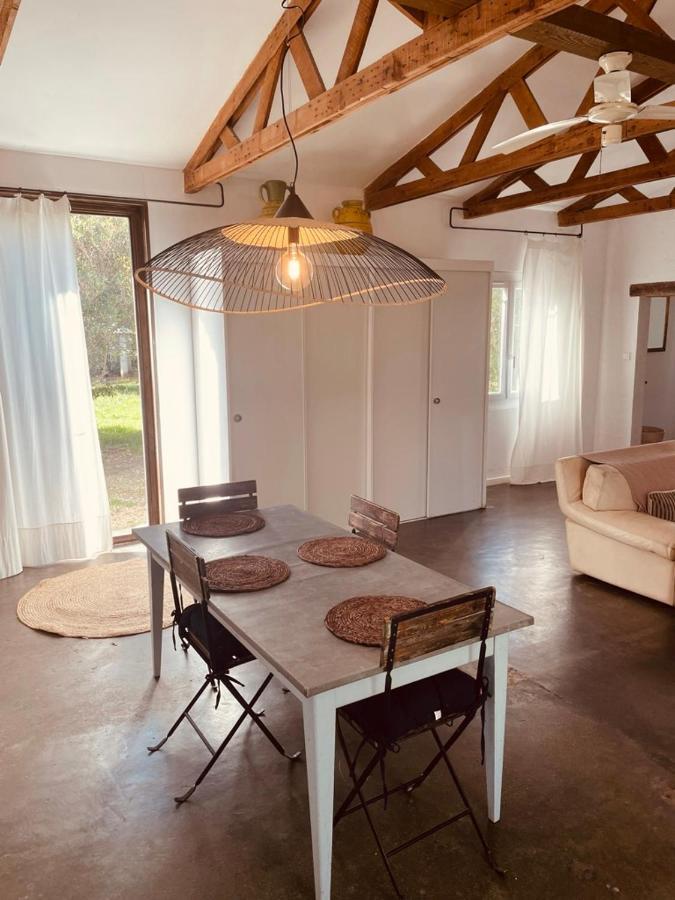 הוילה נים Casa Cote Sud - Mas Bois Fontaine מראה חיצוני תמונה