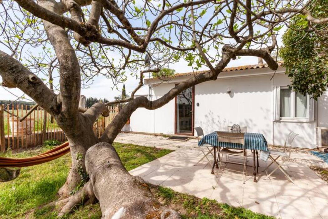 הוילה נים Casa Cote Sud - Mas Bois Fontaine מראה חיצוני תמונה
